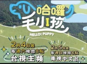 哈啰！毛小孩